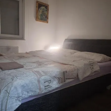 Apartment Knezevic