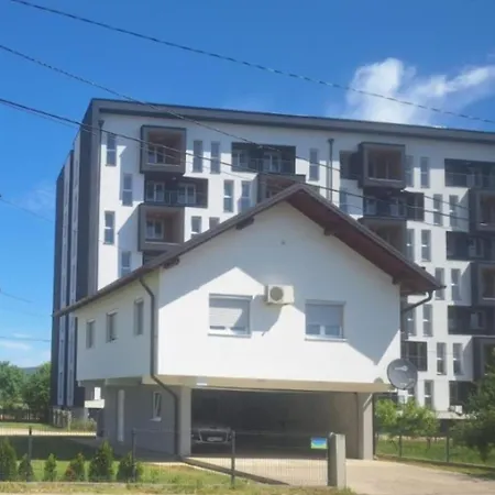 Knezevic *