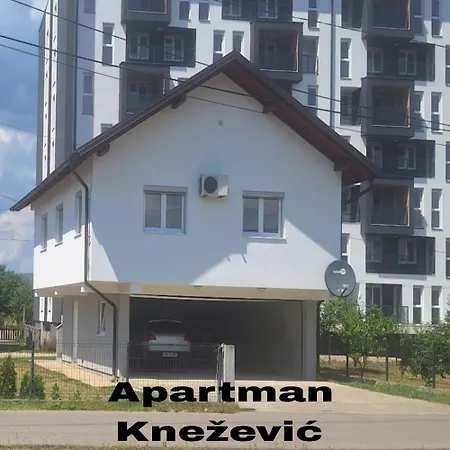 Knezevic *