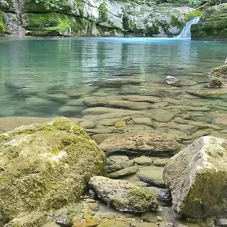 Knezevic