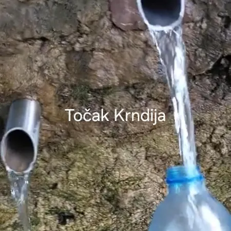 Knezevic Kotor Varos